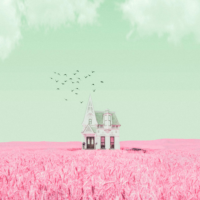 A Dream of You