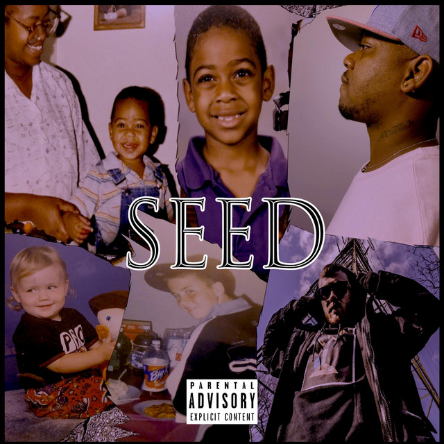 Seed cover art