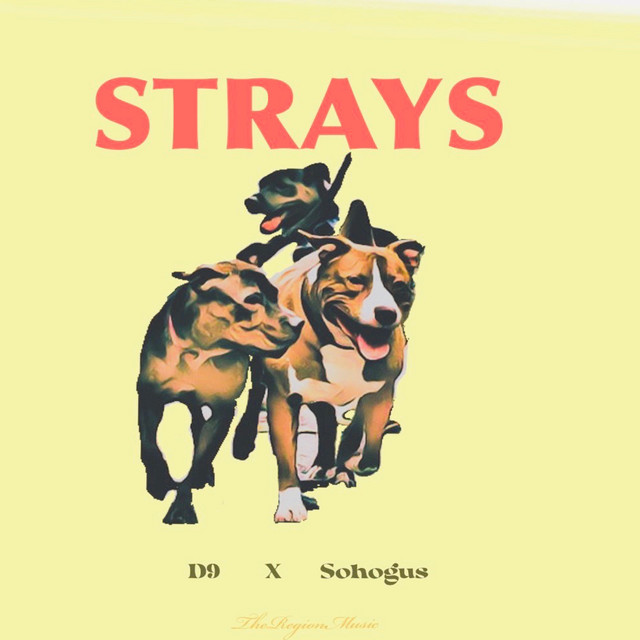 Strays cover art