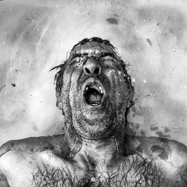 Dying cover art