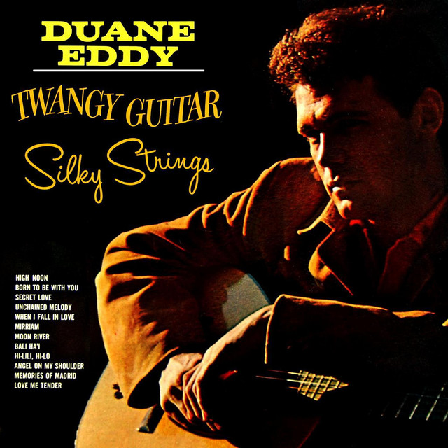 アーティストベア OLD FLYER イギリスSue Lain作 本革ジャケット Twangy Guitar Silky Strings - Album by Duane Eddy | Spotify