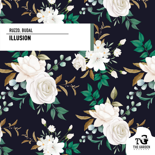 Illusion cover art