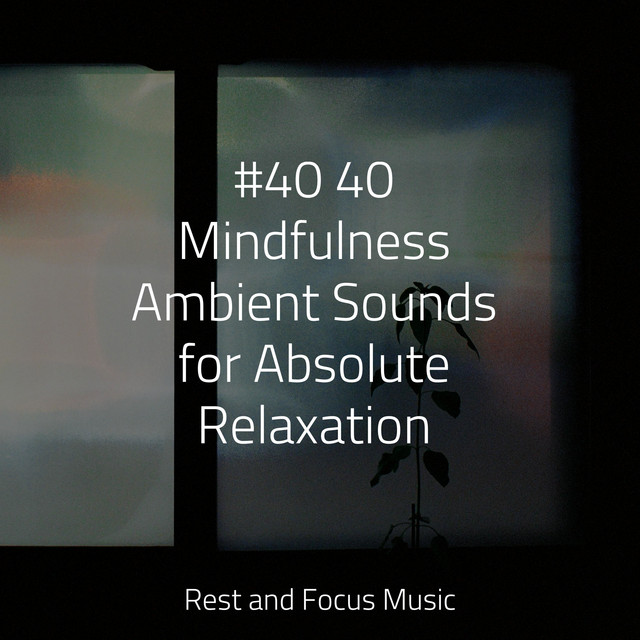 #40 40 Mindfulness Ambient Sounds for Absolute Relaxation - Album by ...