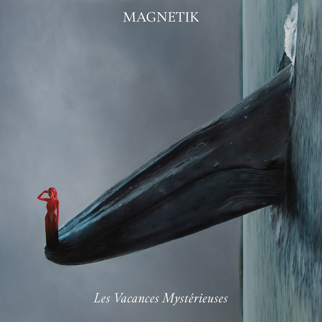 Les vacances mystérieuses cover