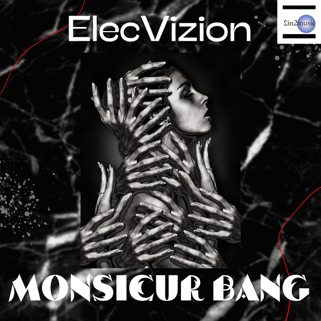 ElecVizion