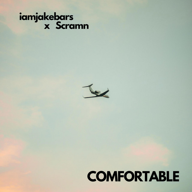 Comfortable cover art