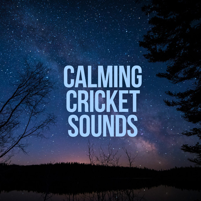 Calming Cricket Sounds cover art