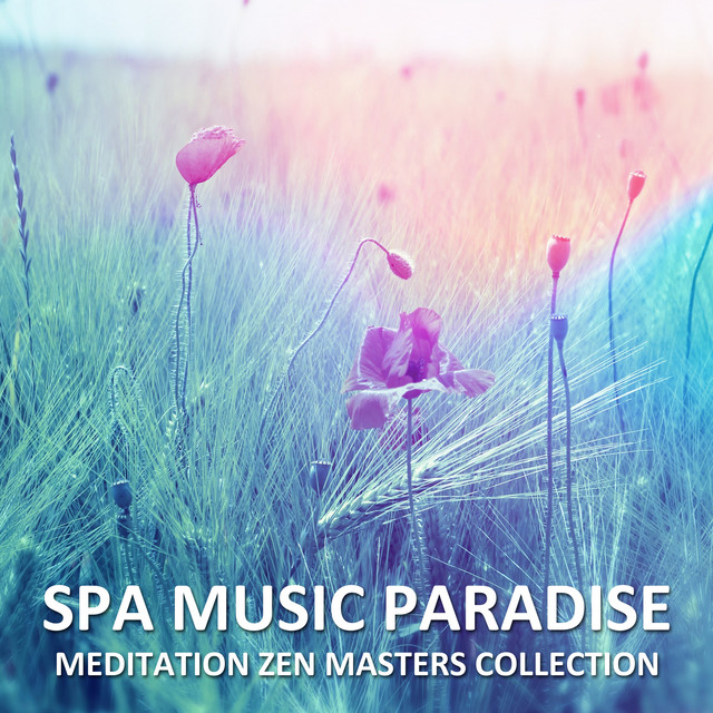 14 Meditaion Zen Masters Collection - Spa Music Paradise cover art