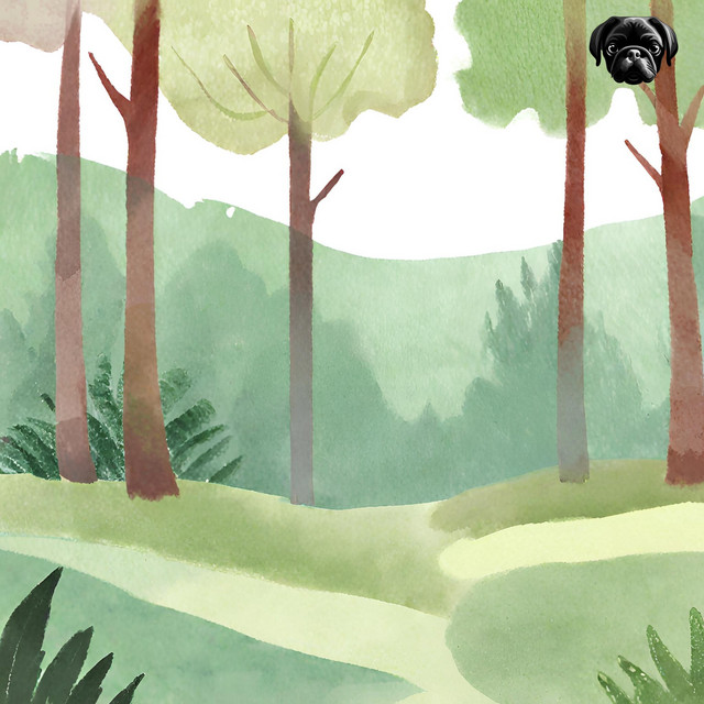 Fresh Air