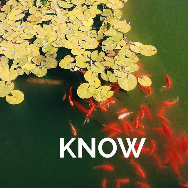 Doesn't Mean (I Like You) cover art