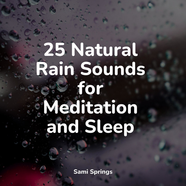 25 Natural Rain Sounds for Meditation and Sleep - Album by Instrumental ...