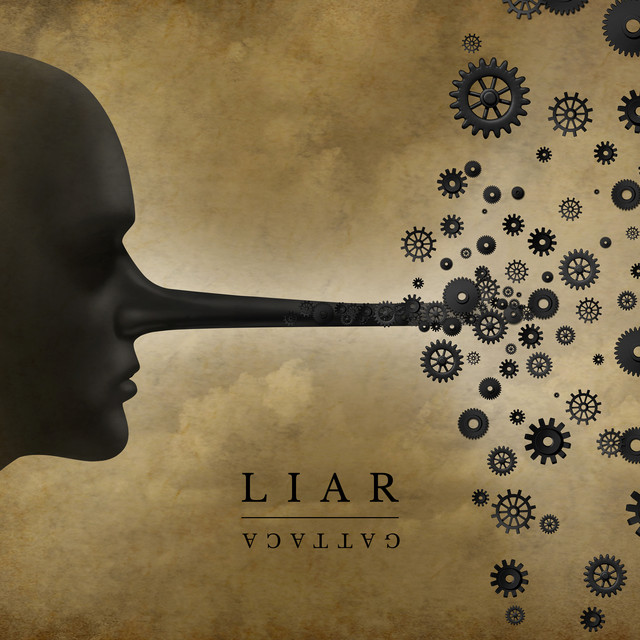 Liar cover
