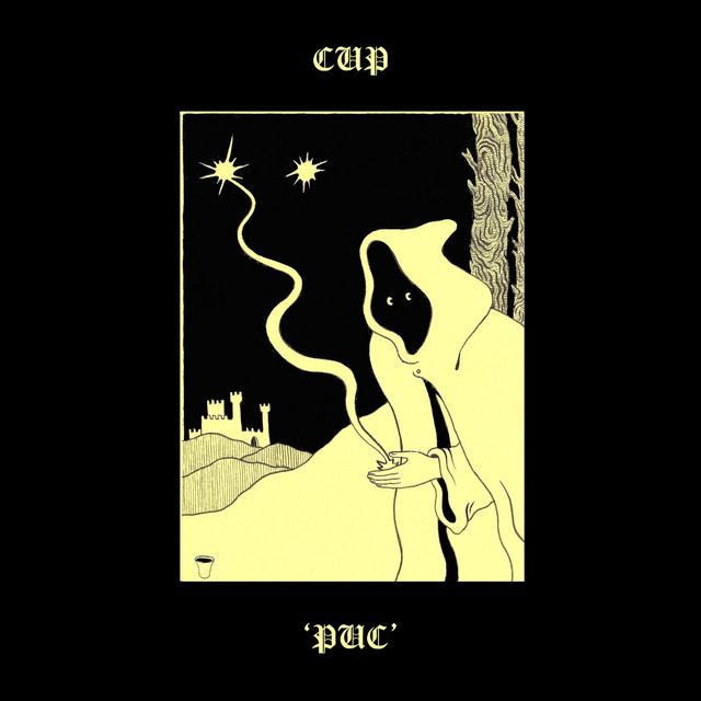Puc cover art