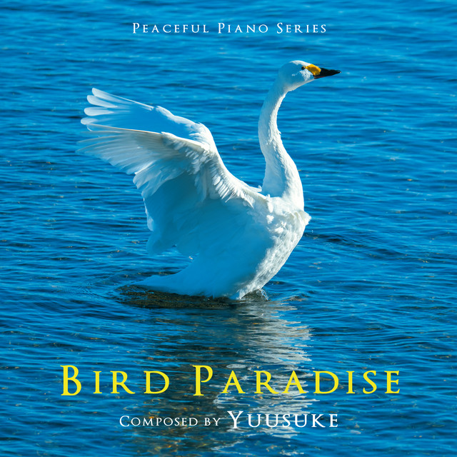 Bird Paradise cover art