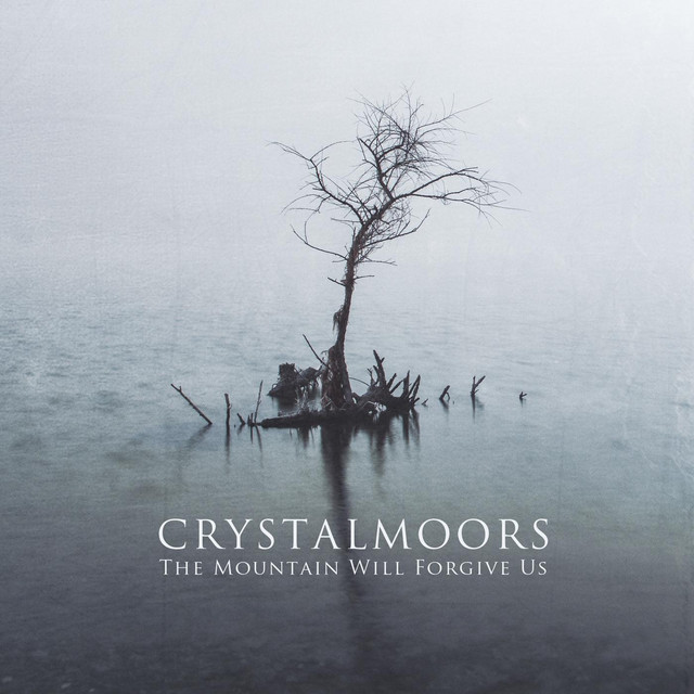 The Mountain Will Forgive Us cover art