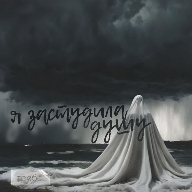 Обкладинка: Я застудила душу — Треба