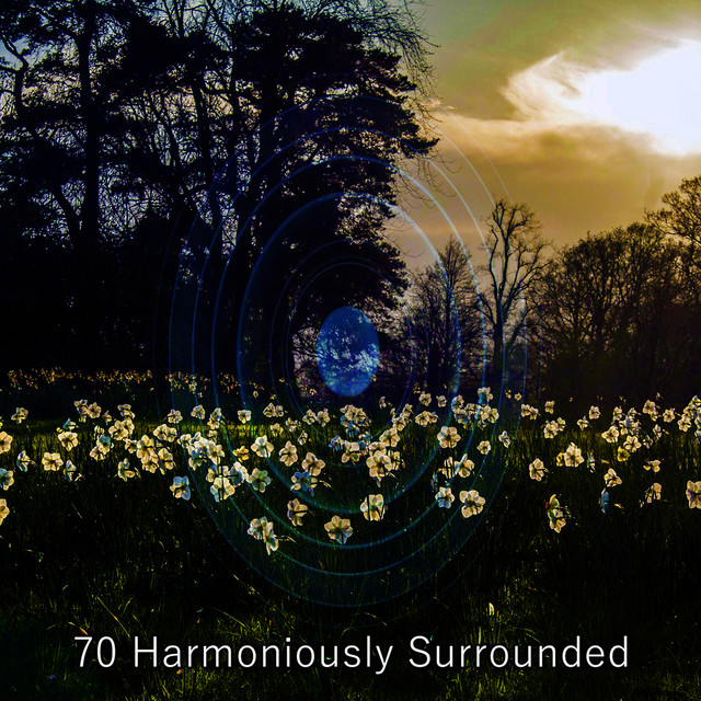 70 Harmoniously Surrounded - Album by Healing Yoga Meditation Music ...