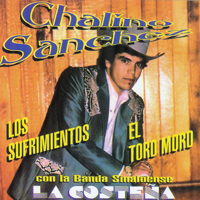 Los Sufrimientos , el Toro Moro , Con la Banda Sinaloense la Costeña (Remasterizado 2025) album image