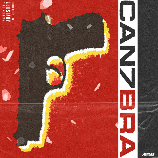 BRA cover art