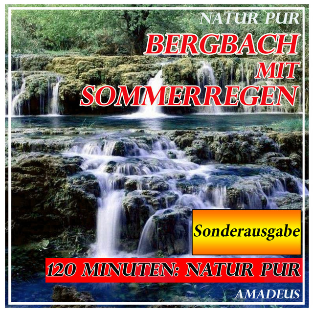 Bergbach mit Sommerregen: Natur pur: Sonderausgabe cover art