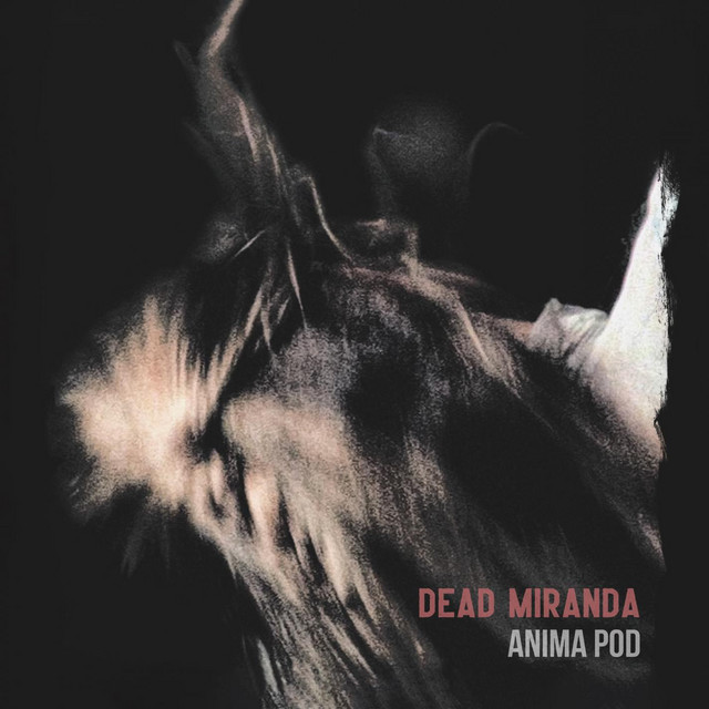 Anima Pod cover art