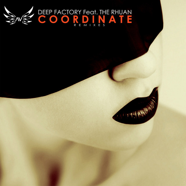 Coordinate - Liquid Mix cover art