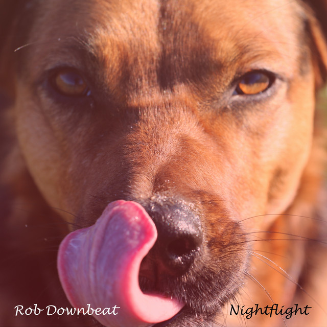 Nightflight cover
