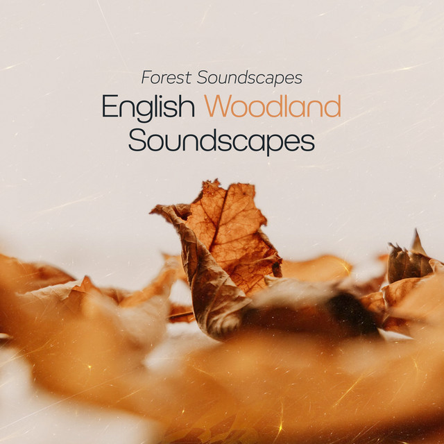 English Woodland Soundscapes cover art