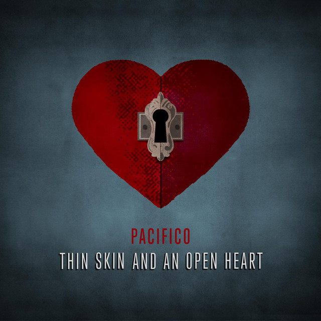 Thin Skin And An Open Heart cover art