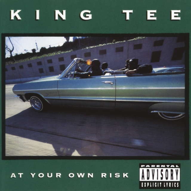 At Your Own Risk cover art