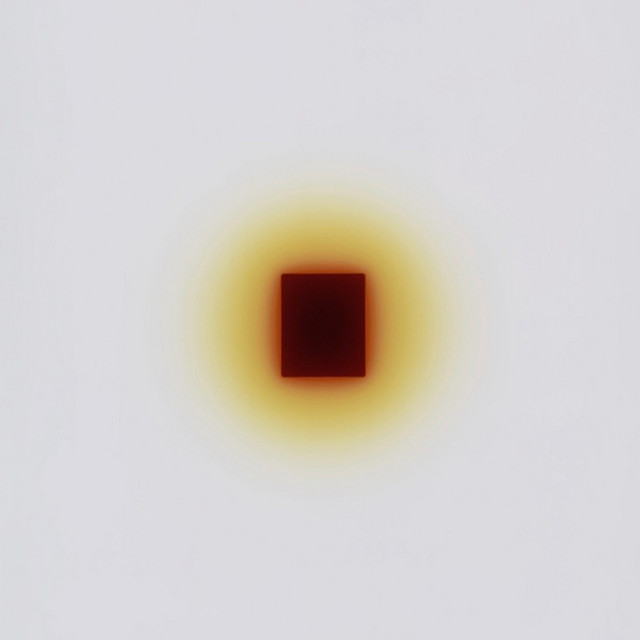 tumeric cover art
