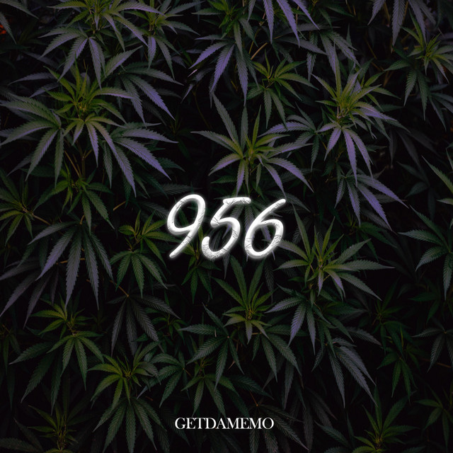 956 cover art