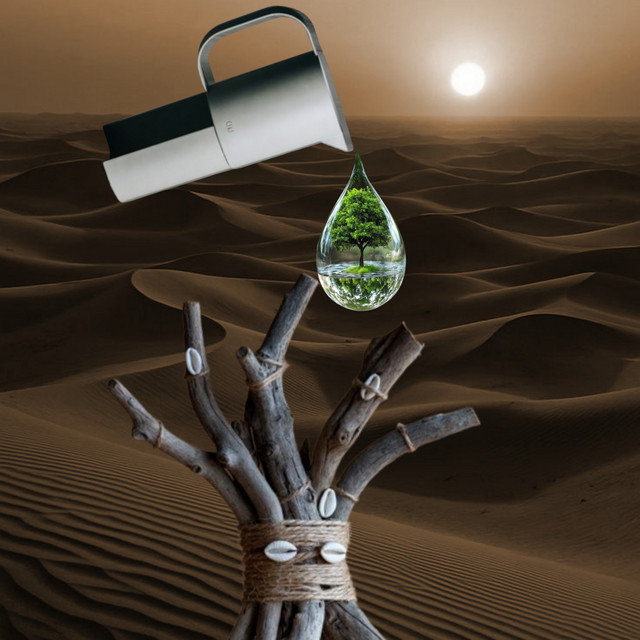 Arabian Arctic Sahara