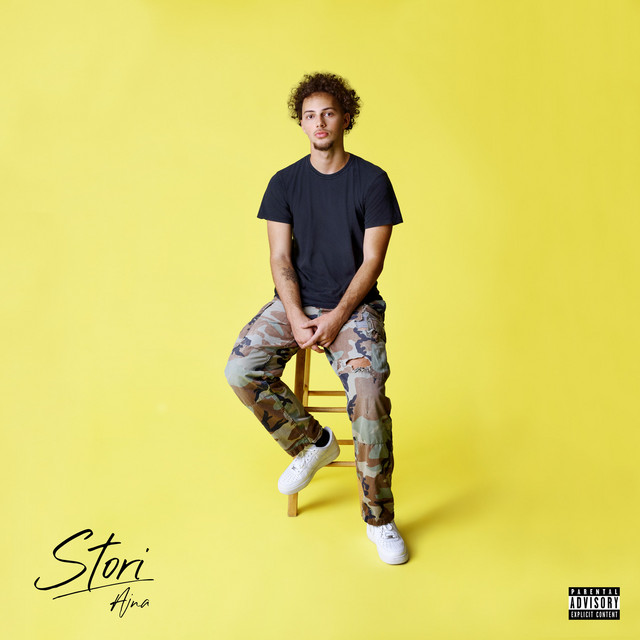 Stori cover art