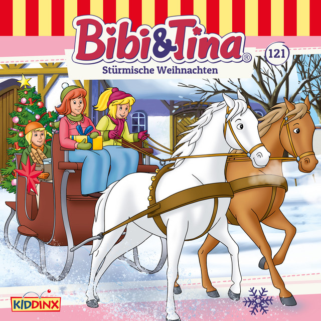 Cover: Stürmische Weihnachten