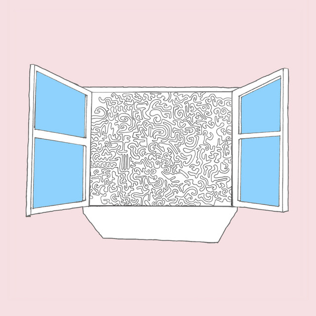 Window