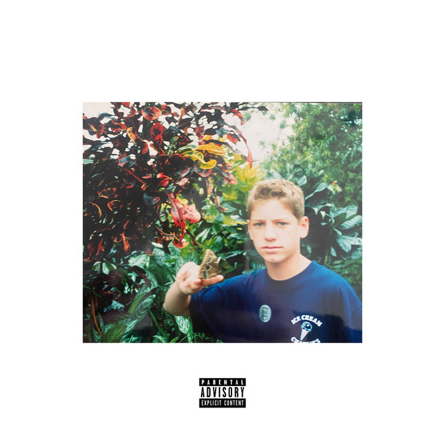 Chrysalis cover art