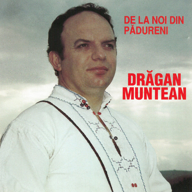 De la noi din Pădureni cover art