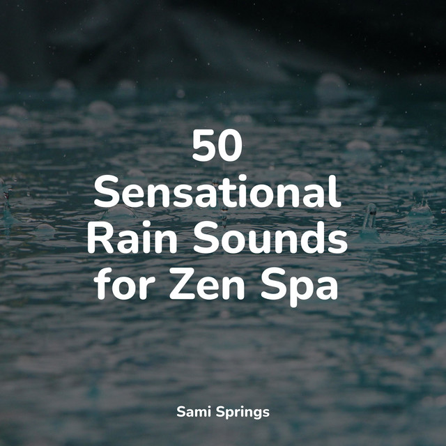 50 Sensational Rain Sounds for Zen Spa - Album by Nature Sounds XLE ...