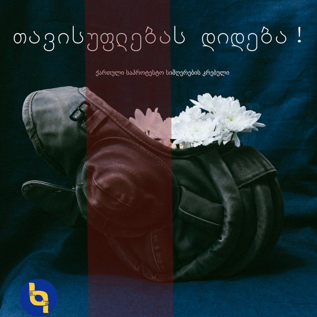 თავისუფლებას დიდება cover art