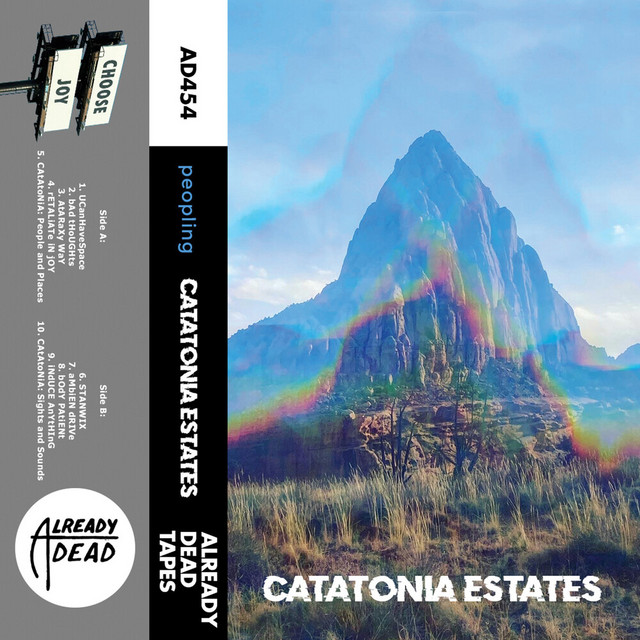 Catatonia Estates cover art