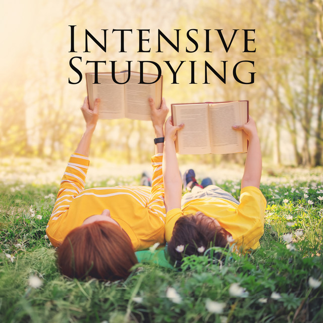 Intensive Studying: Homework Vibes, Calming and relaxing music cover art