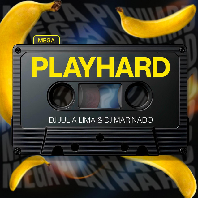 MEGA PLAYHARD