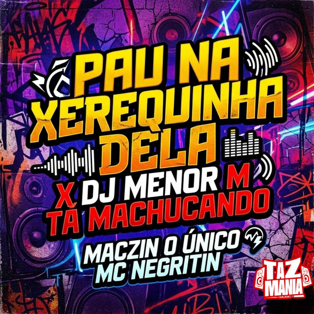 Pau na Xerequinha Dela X Dj Menor M Ta Machucando