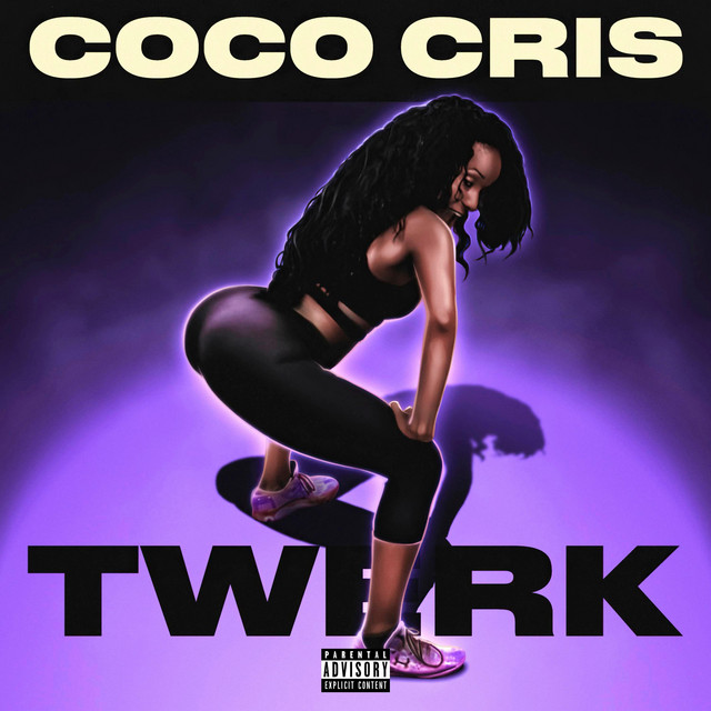 Twerk cover art