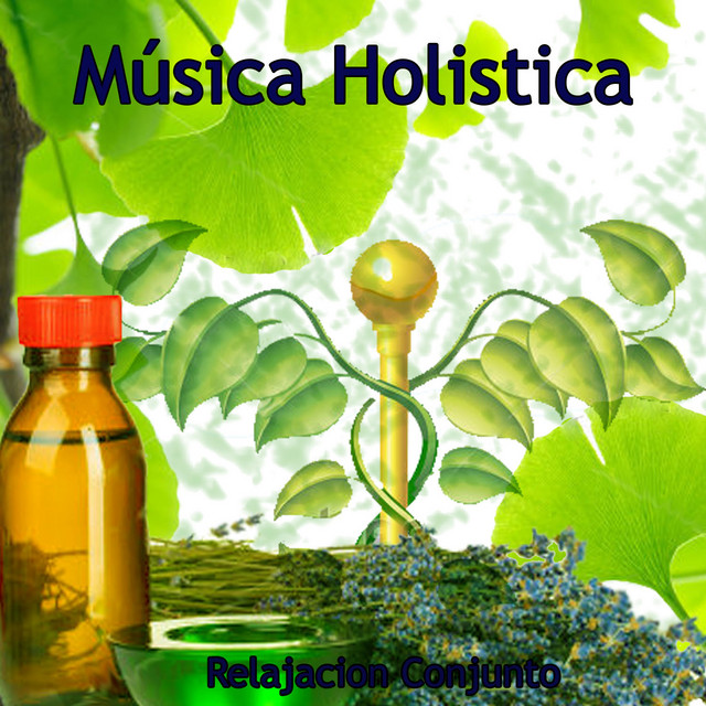 Musica Holistica cover art