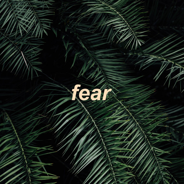 Fear cover art