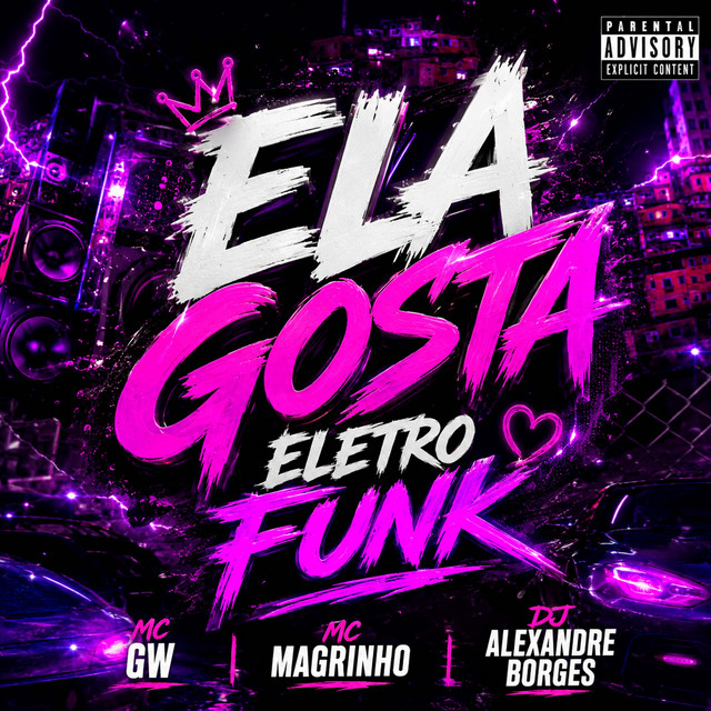 Ela Gosta Eletro Funk album image