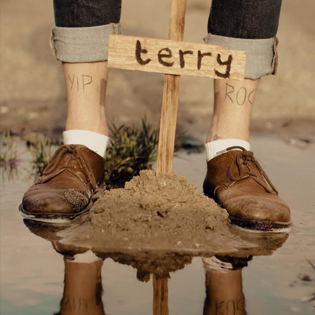 Terry cover