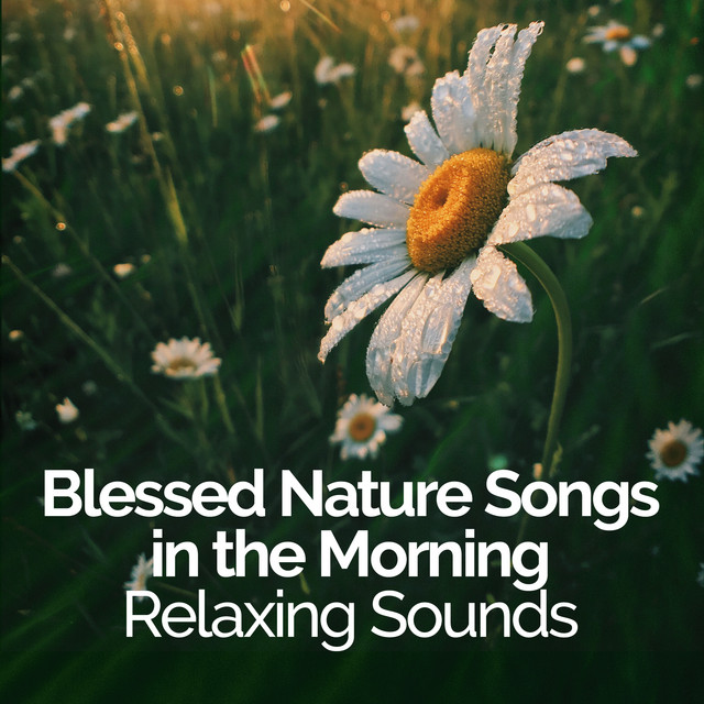 Blessed Nature Songs in the Morning: Relaxing Sounds - Album by Nature ...